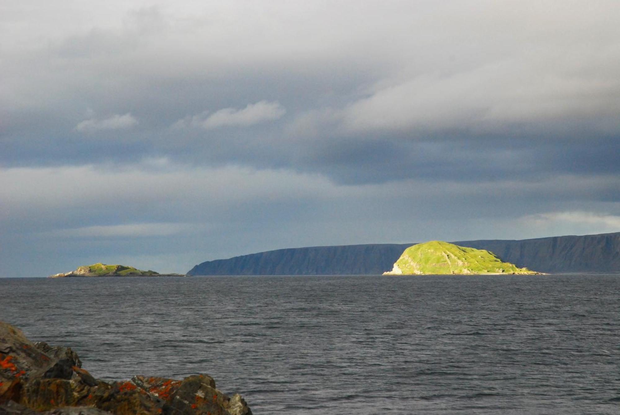 Kongsfjord Holiday Home ภายนอก รูปภาพ