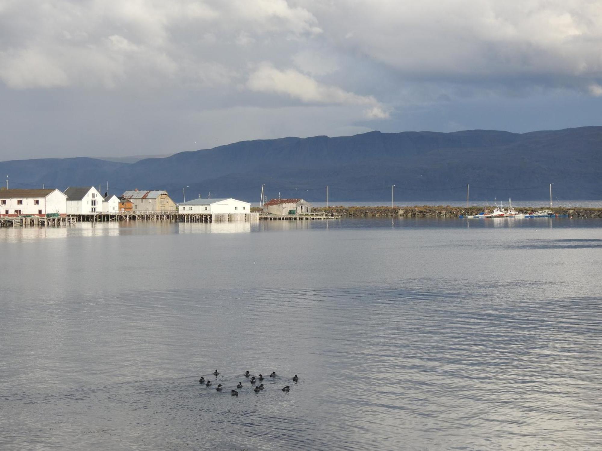 Kongsfjord Holiday Home ภายนอก รูปภาพ