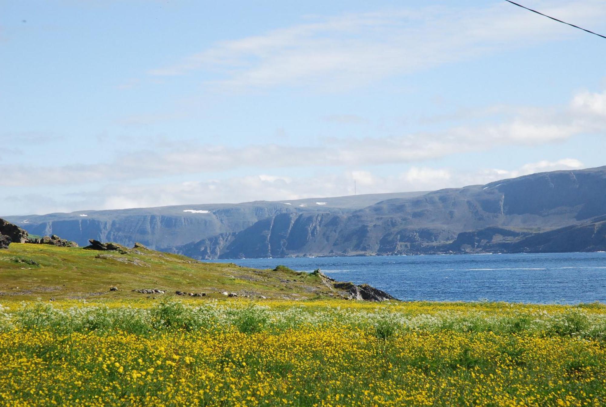 Kongsfjord Holiday Home ภายนอก รูปภาพ